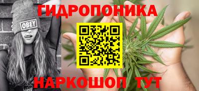 прущие грибы Ливны