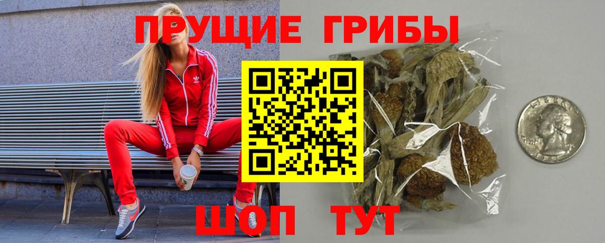 Галлюциногенные грибы мухоморы  Вход с VPN  цена наркотик  Чебоксары 